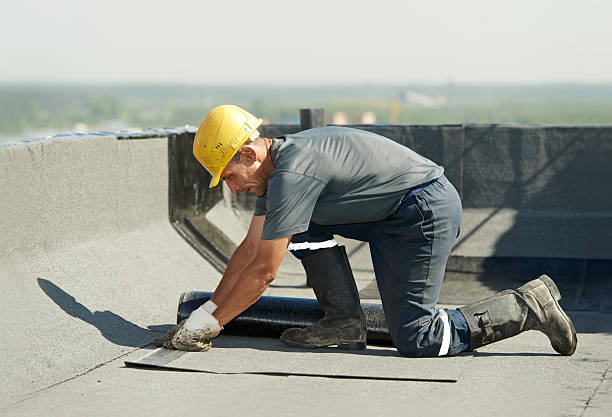 Best Commercial Insulation in South Miami, FL
